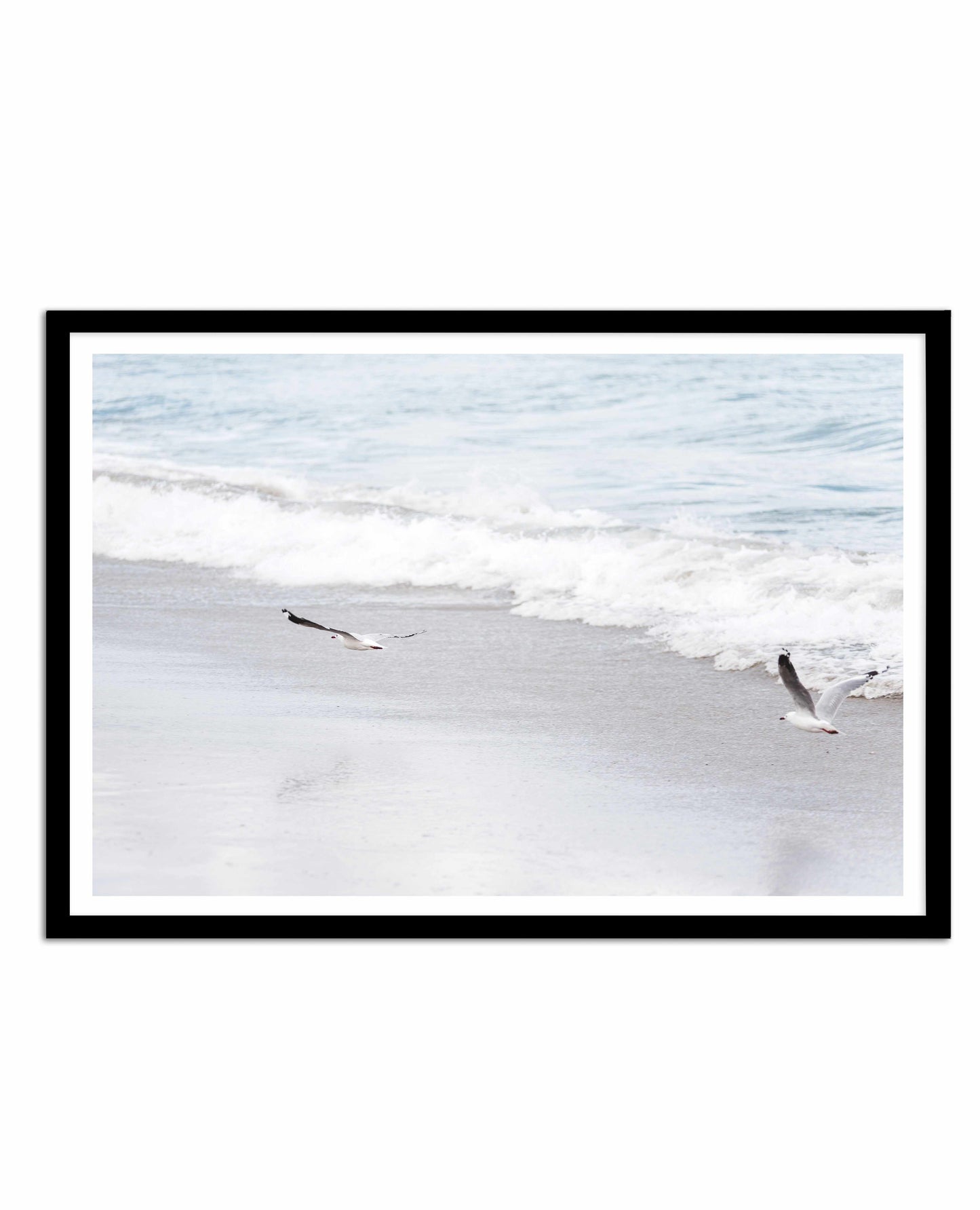 In Flight Art Print