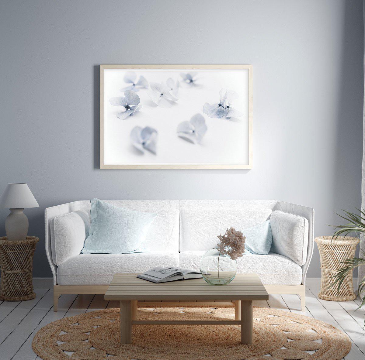 Droplets | Hydrangea I Art Print