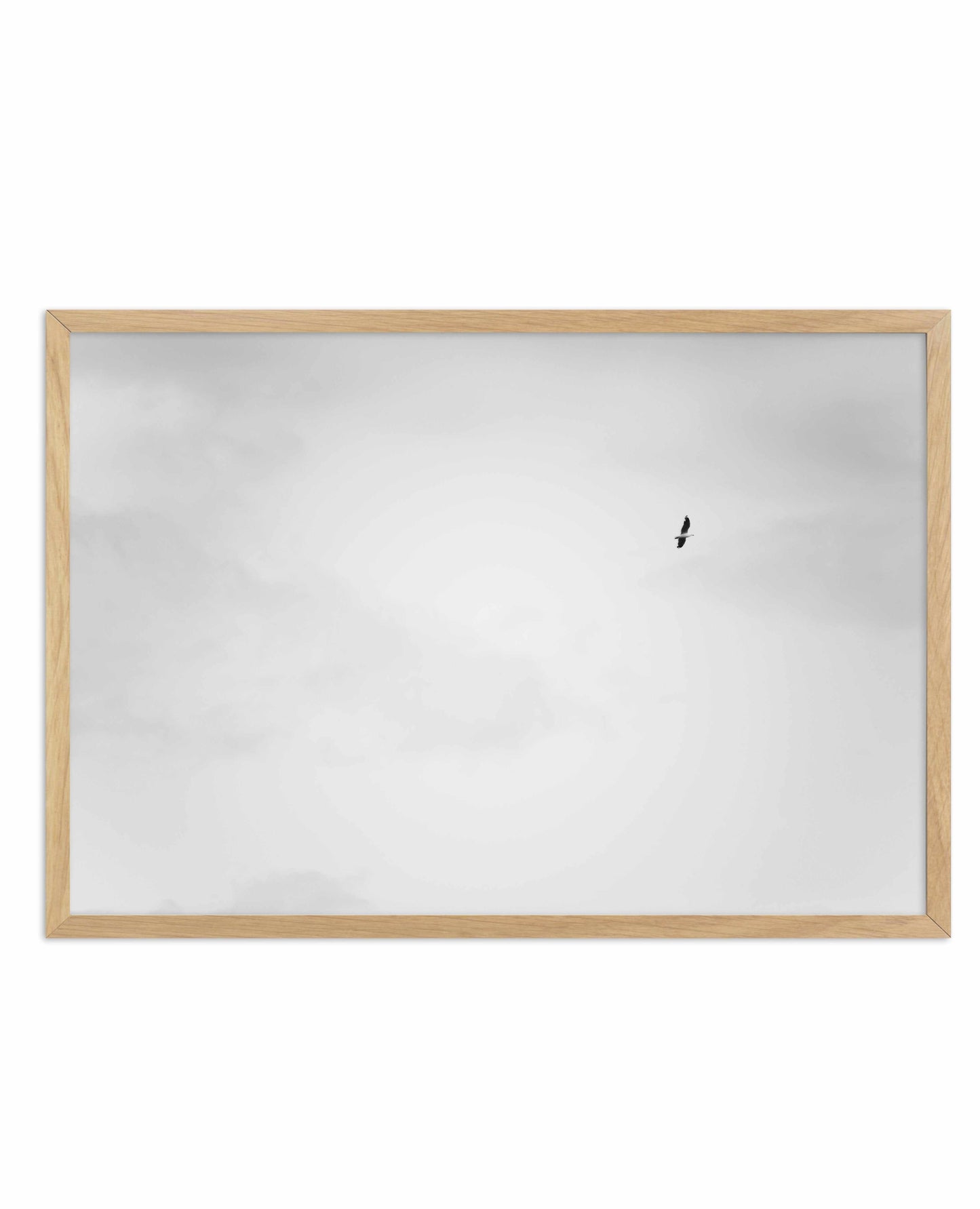 Freedom II Art Print