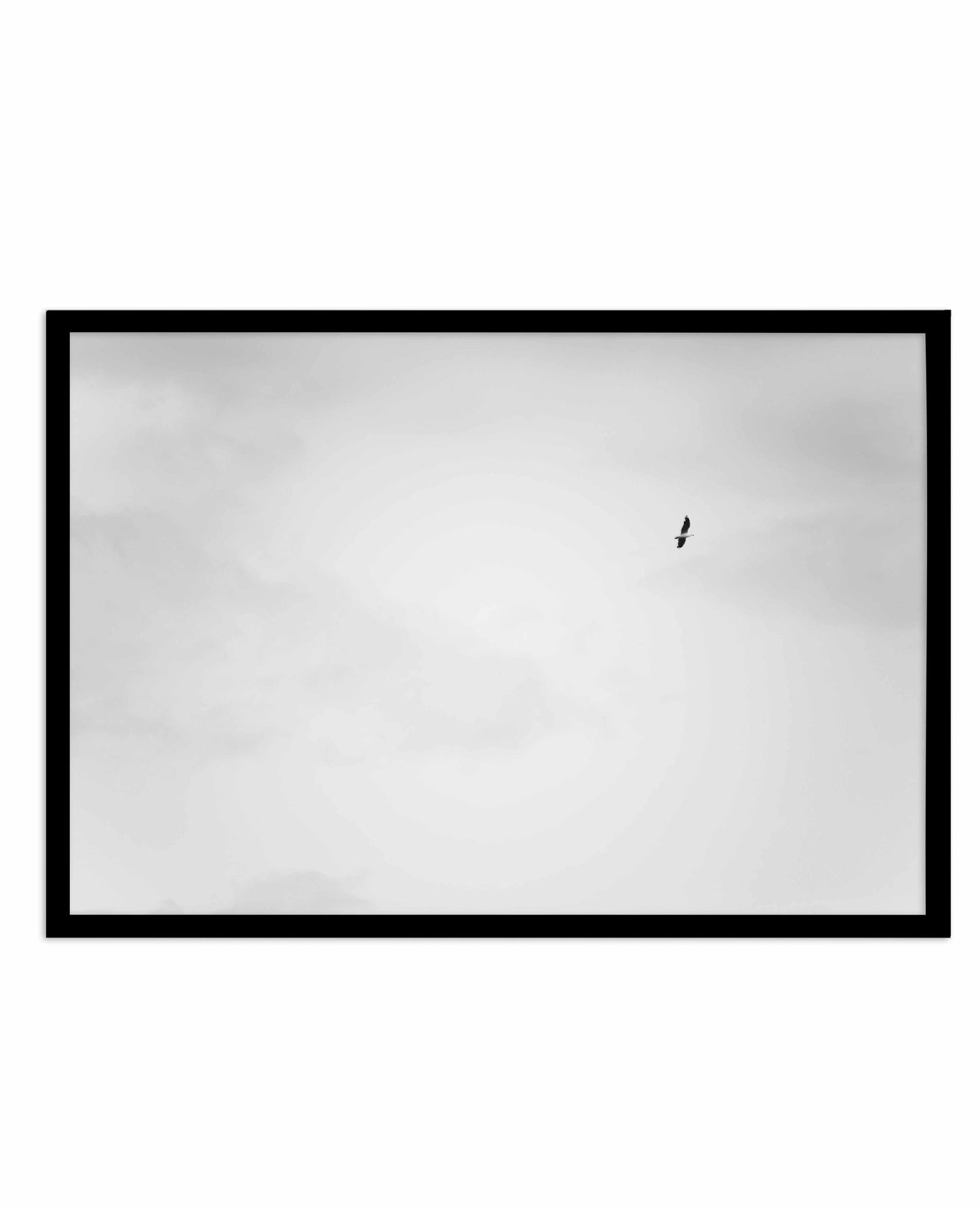 Freedom II Art Print