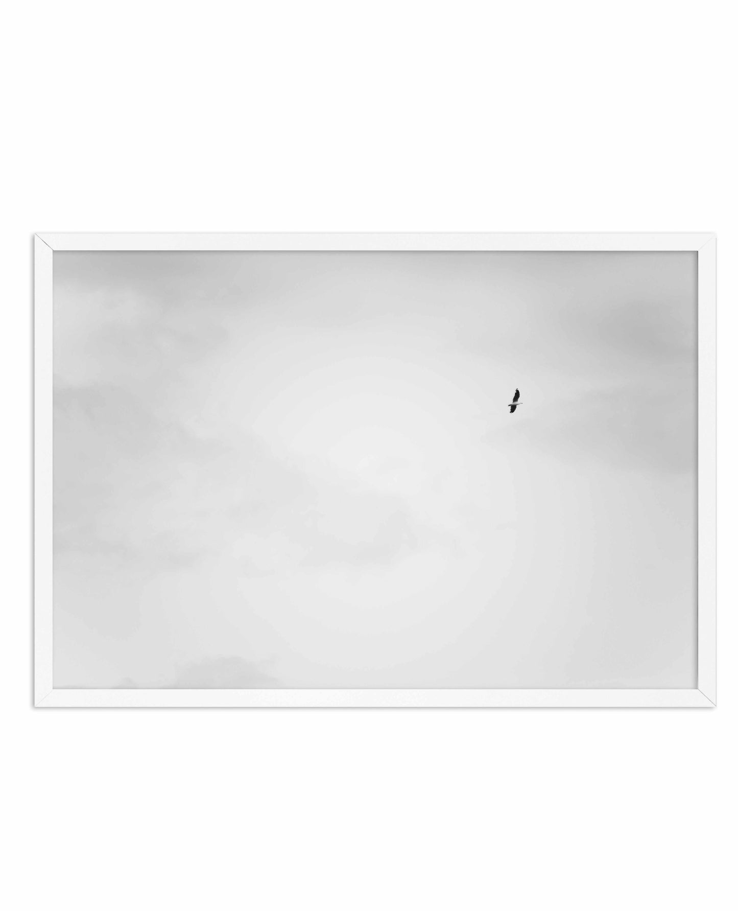 Freedom II Art Print