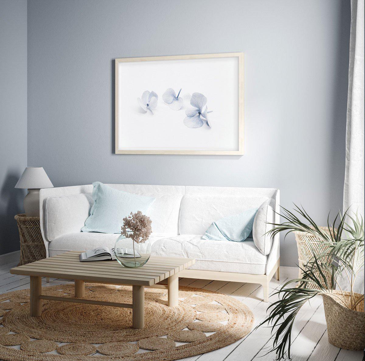 Three in Blue | Hydrangea III Art Print