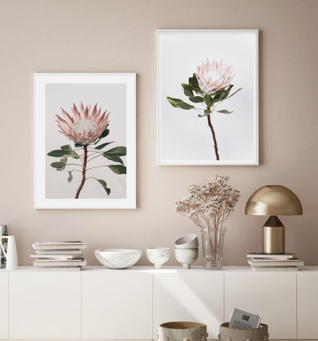Vintage Protea Art Print