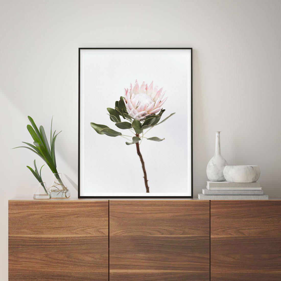 Vintage Protea Art Print