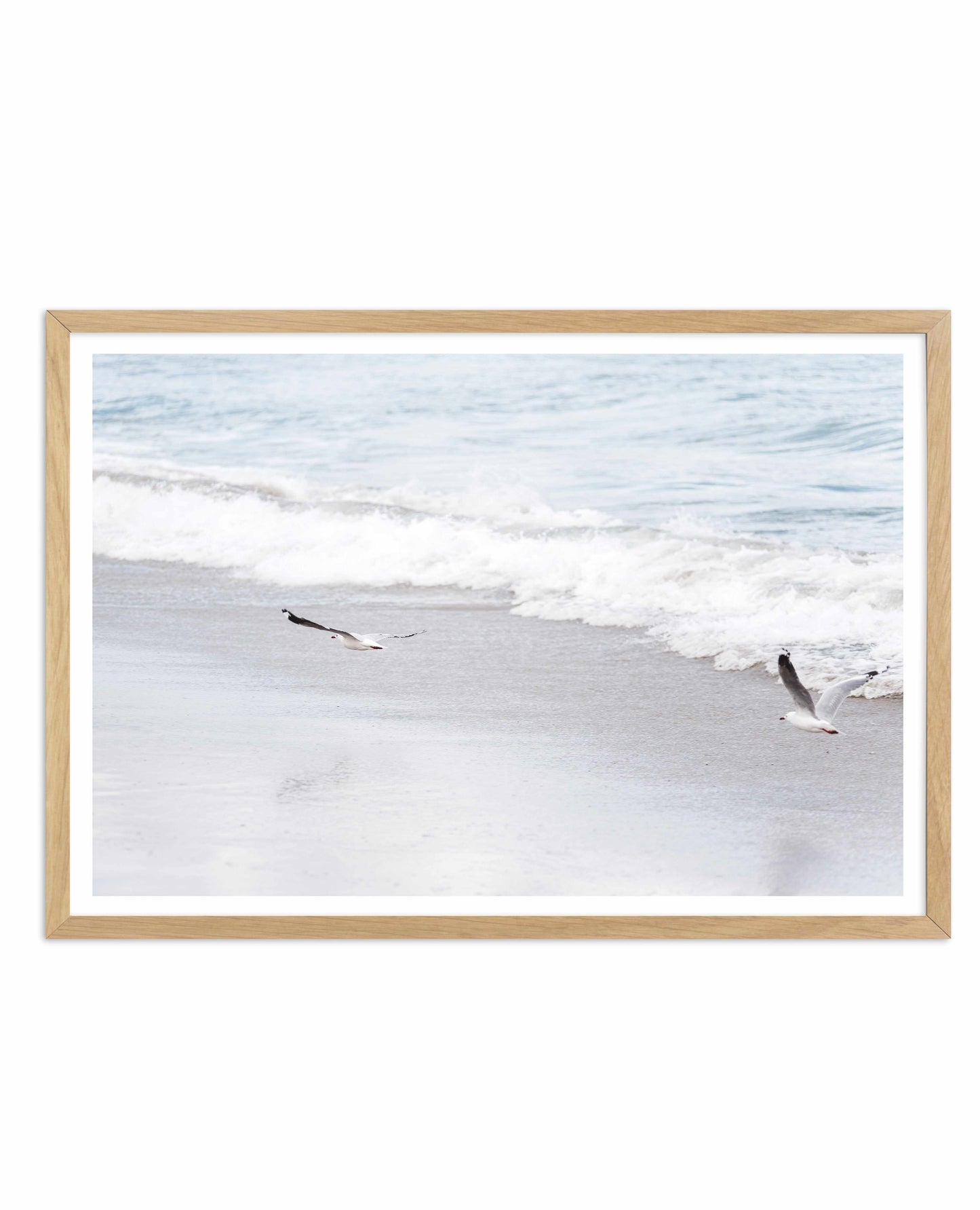 In Flight Art Print