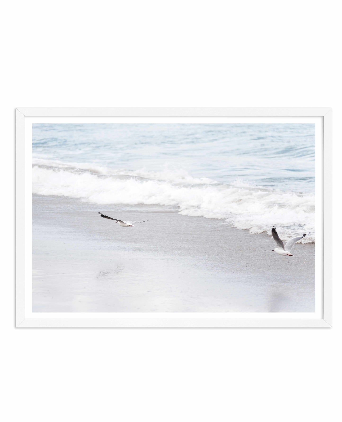 In Flight Art Print