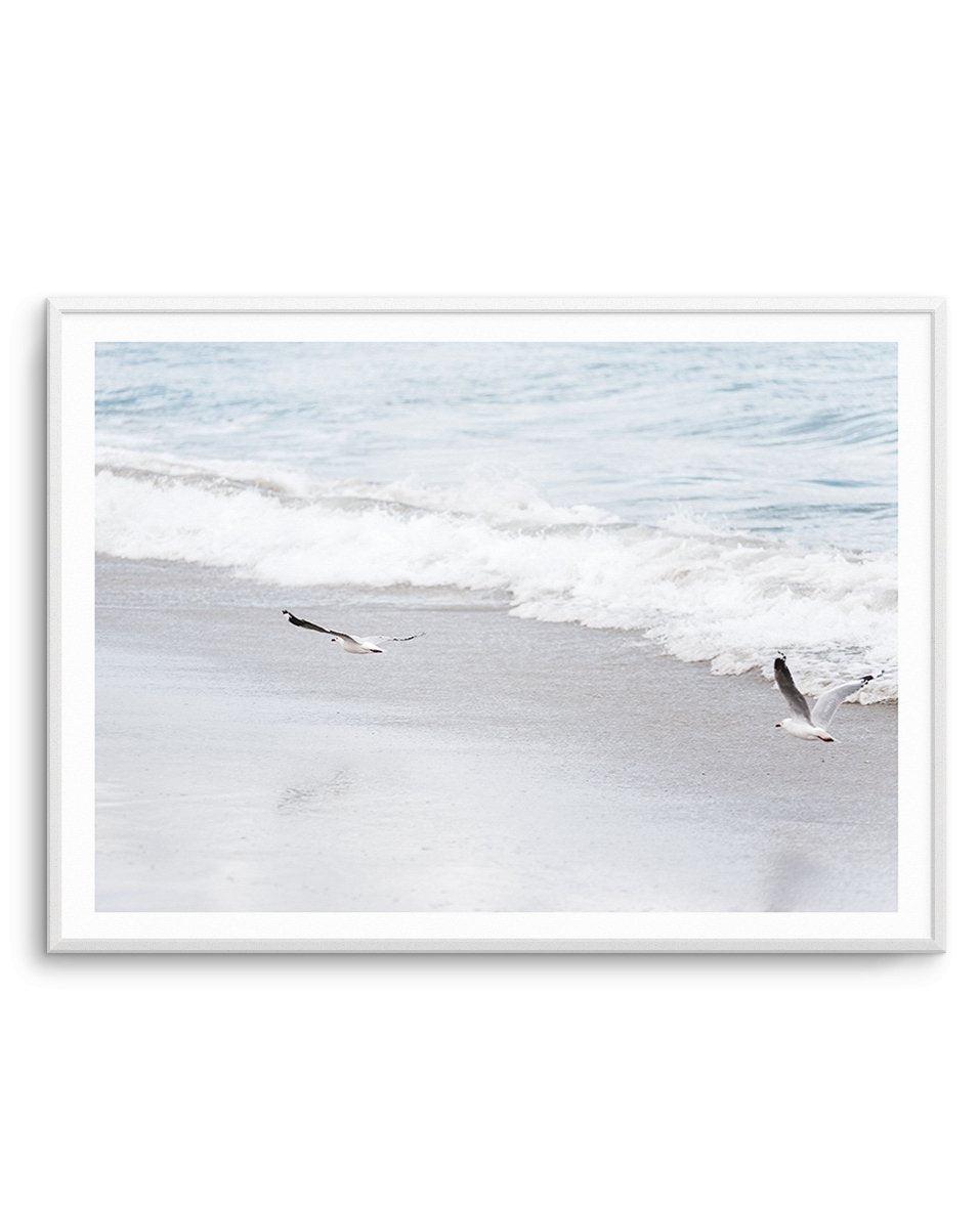 In Flight Art Print