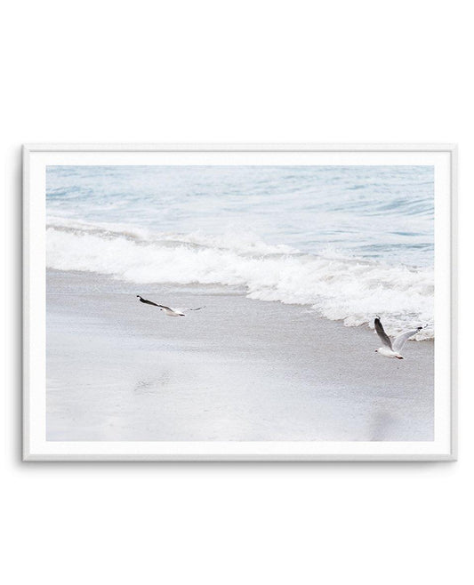 In Flight Art Print
