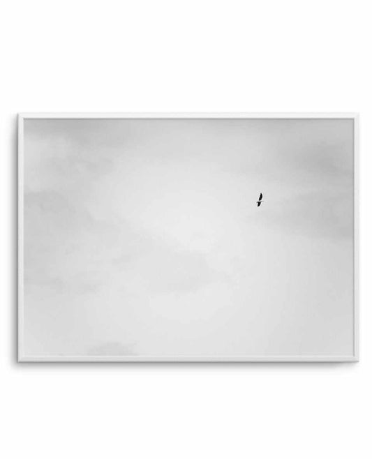 Freedom II Art Print