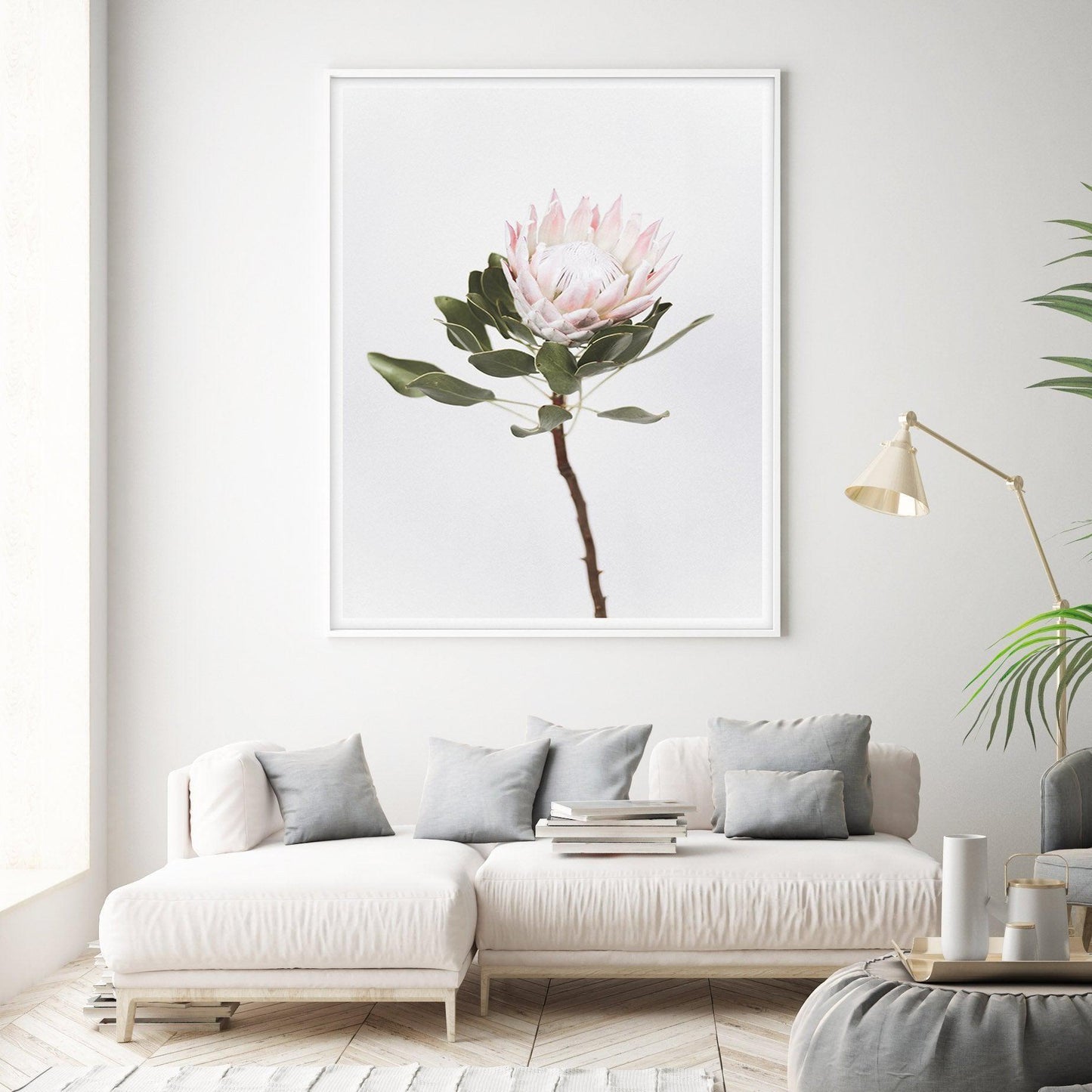 Vintage Protea Art Print